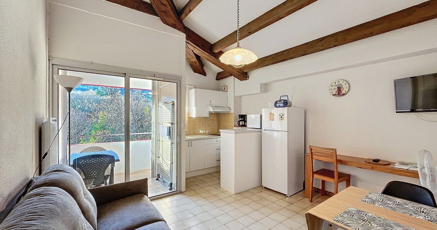 en location saisonnière Appartement Lamalou Les Bains