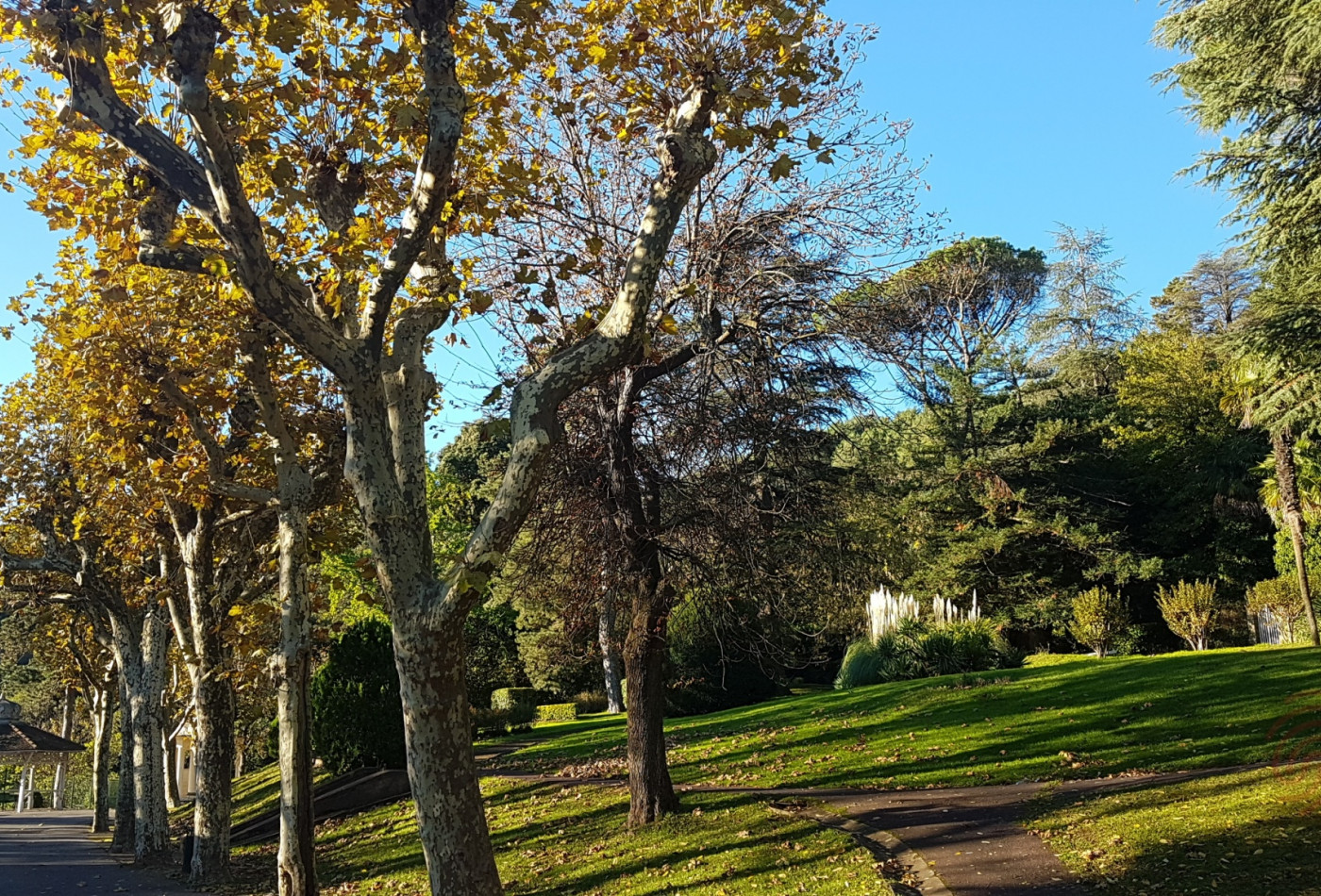 en location saisonnière Appartement Lamalou Les Bains - Photo 17