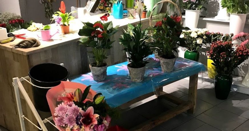 vente Local commercial Lamalou Les Bains