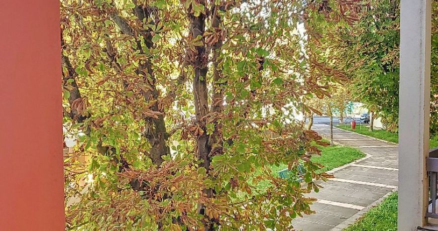 vente Studio Lamalou Les Bains