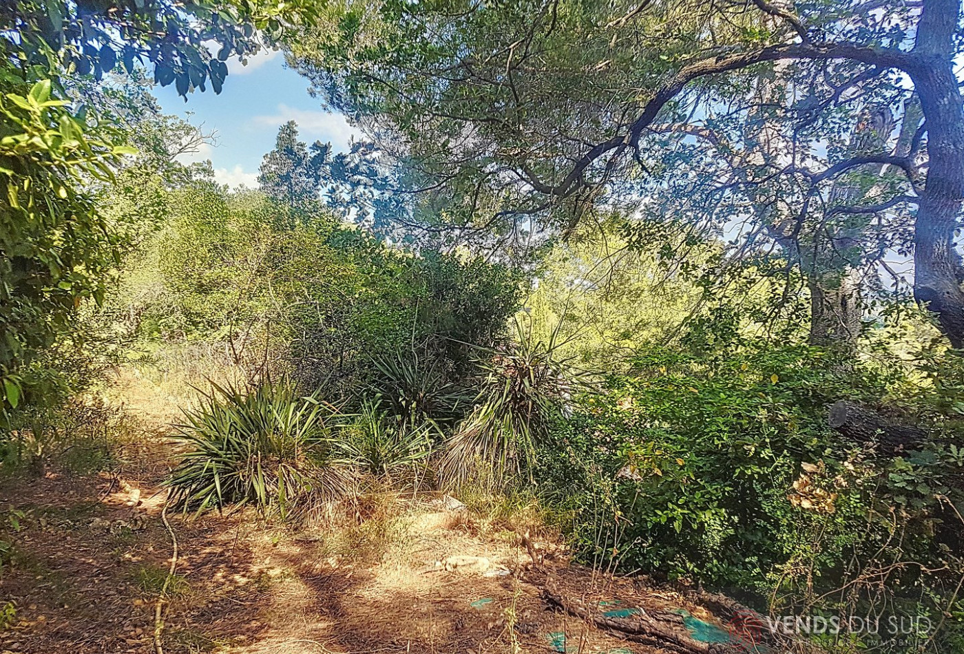 vente Mazet Pezenas - Photo 16