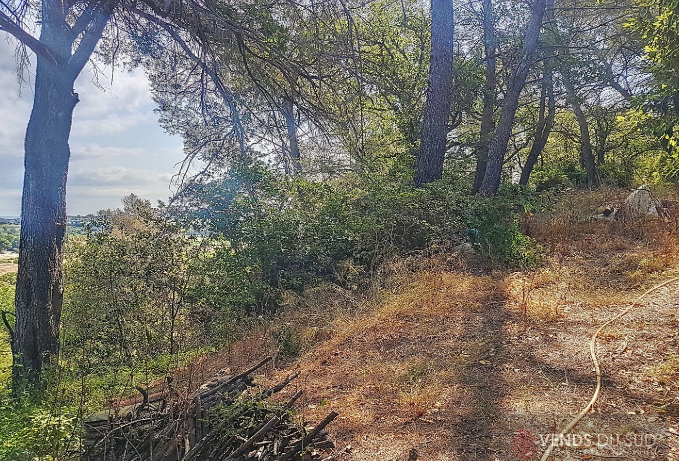 vente Mazet Pezenas - Photo 17