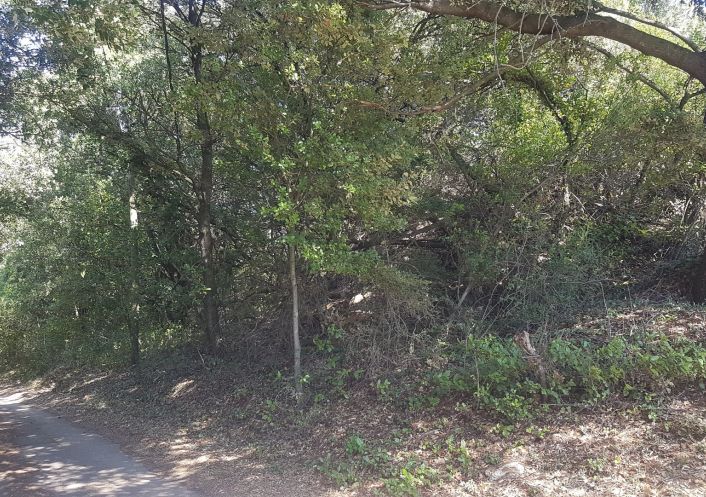 vente Terrain boisé – forêt Bedarieux