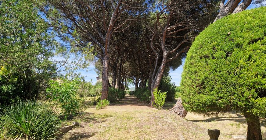 vente Maison bourgeoise Le Bousquet D'orb