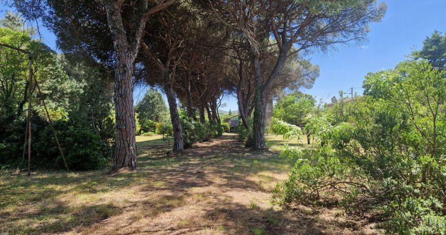 vente Maison bourgeoise Le Bousquet D'orb