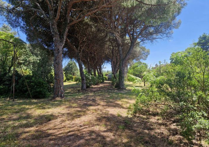 vente Maison bourgeoise Le Bousquet D'orb