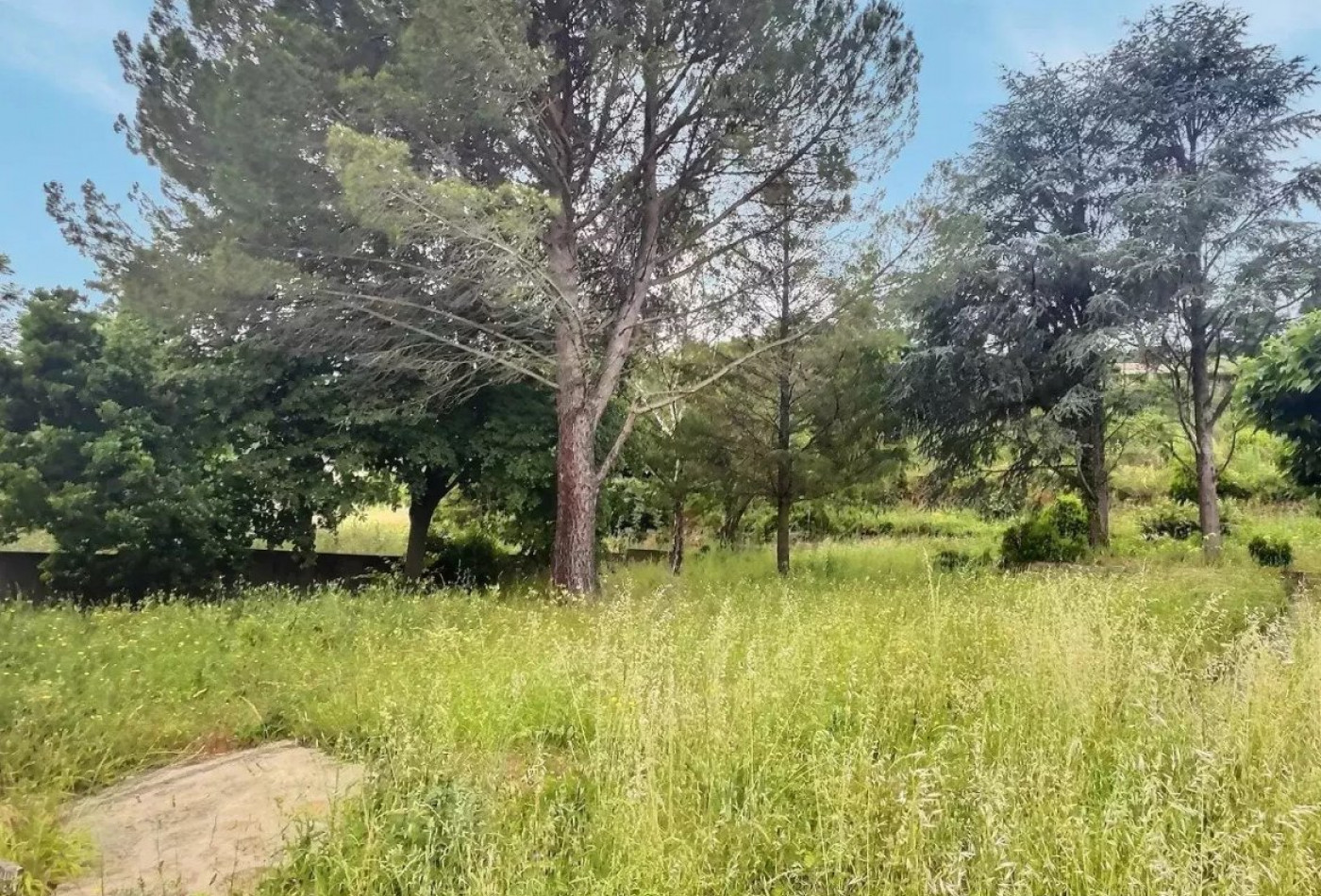 à vendre Maison individuelle Le Bousquet D'orb - Photo 10