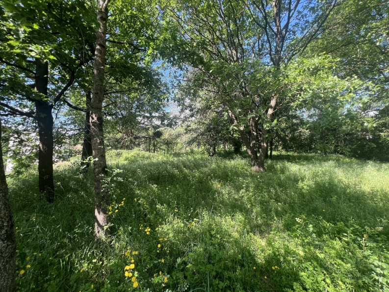 vente Terrain constructible Lamalou Les Bains - Photo 2