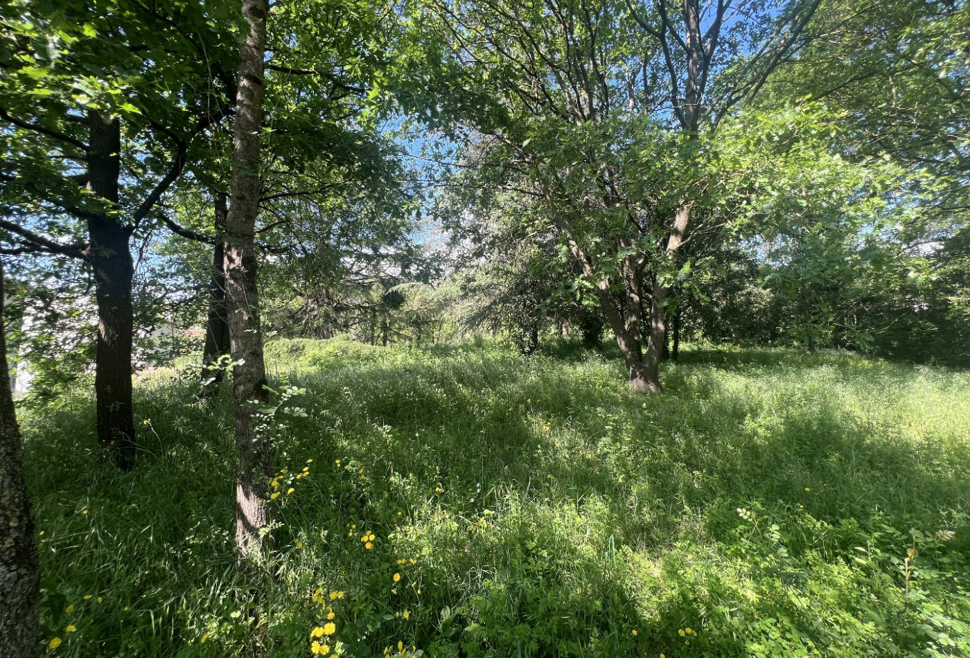 vente Terrain constructible Lamalou Les Bains - Photo 2