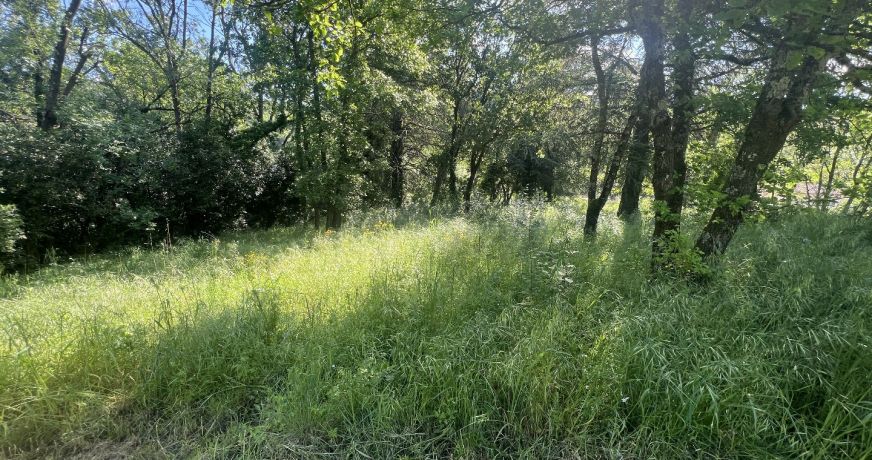 vente Terrain constructible Lamalou Les Bains