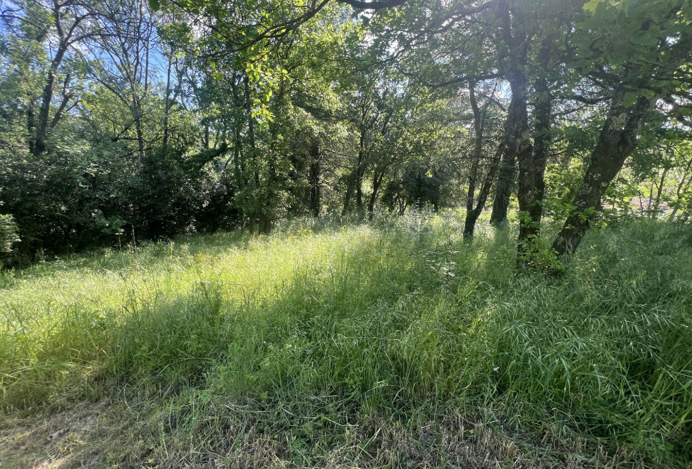 vente Terrain constructible Lamalou Les Bains - Photo 3