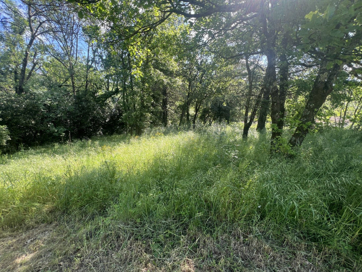 vente Terrain constructible Lamalou Les Bains - Photo 3