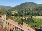vente Maison Vieussan