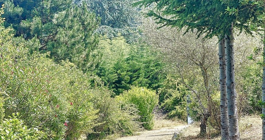 vente Maison Olargues