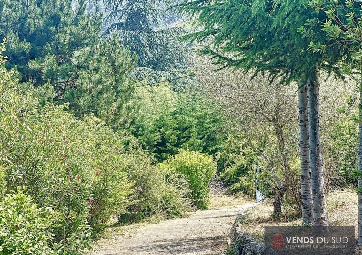 vente Maison Olargues