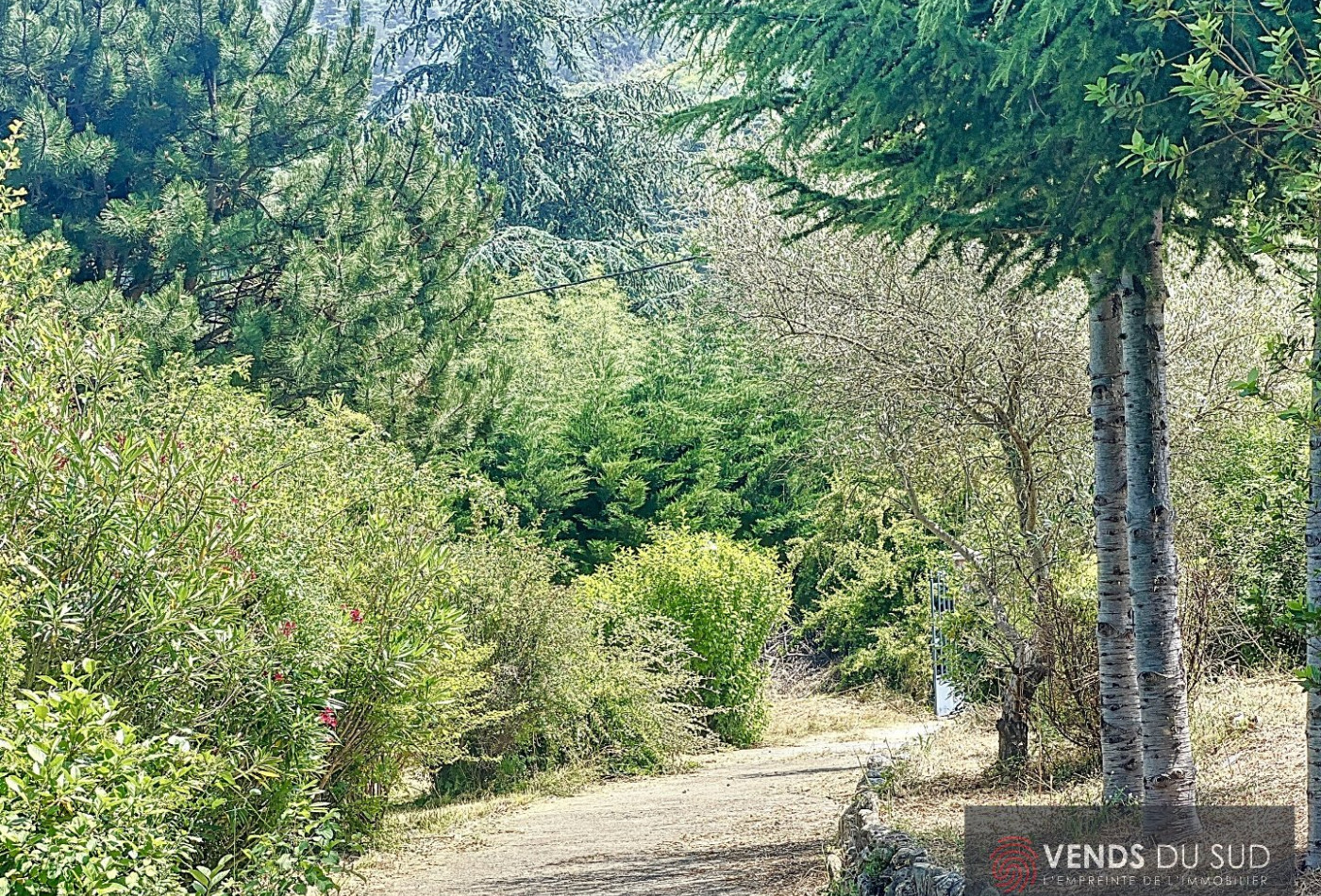 vente Maison Olargues - Photo 13