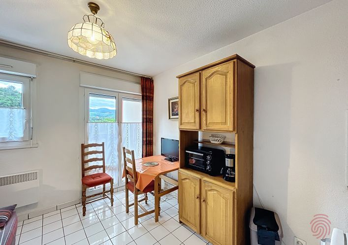 for seasonal lettings Appartement Lamalou Les Bains