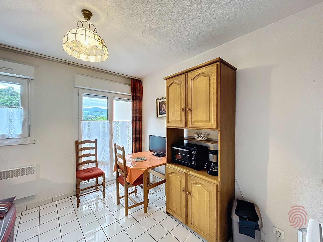 en location saisonnière Appartement Lamalou Les Bains - Photo 1