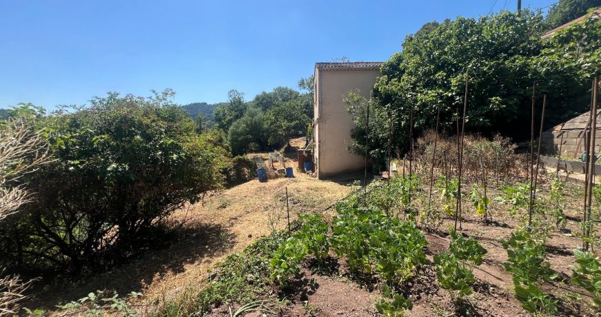 vente Terrain constructible Lamalou Les Bains