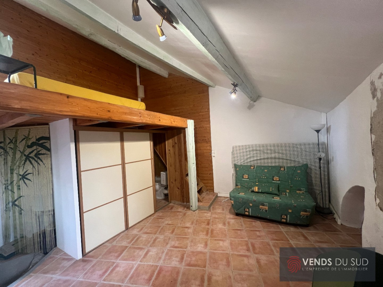 vente Maison en pierre Olargues - Photo 9