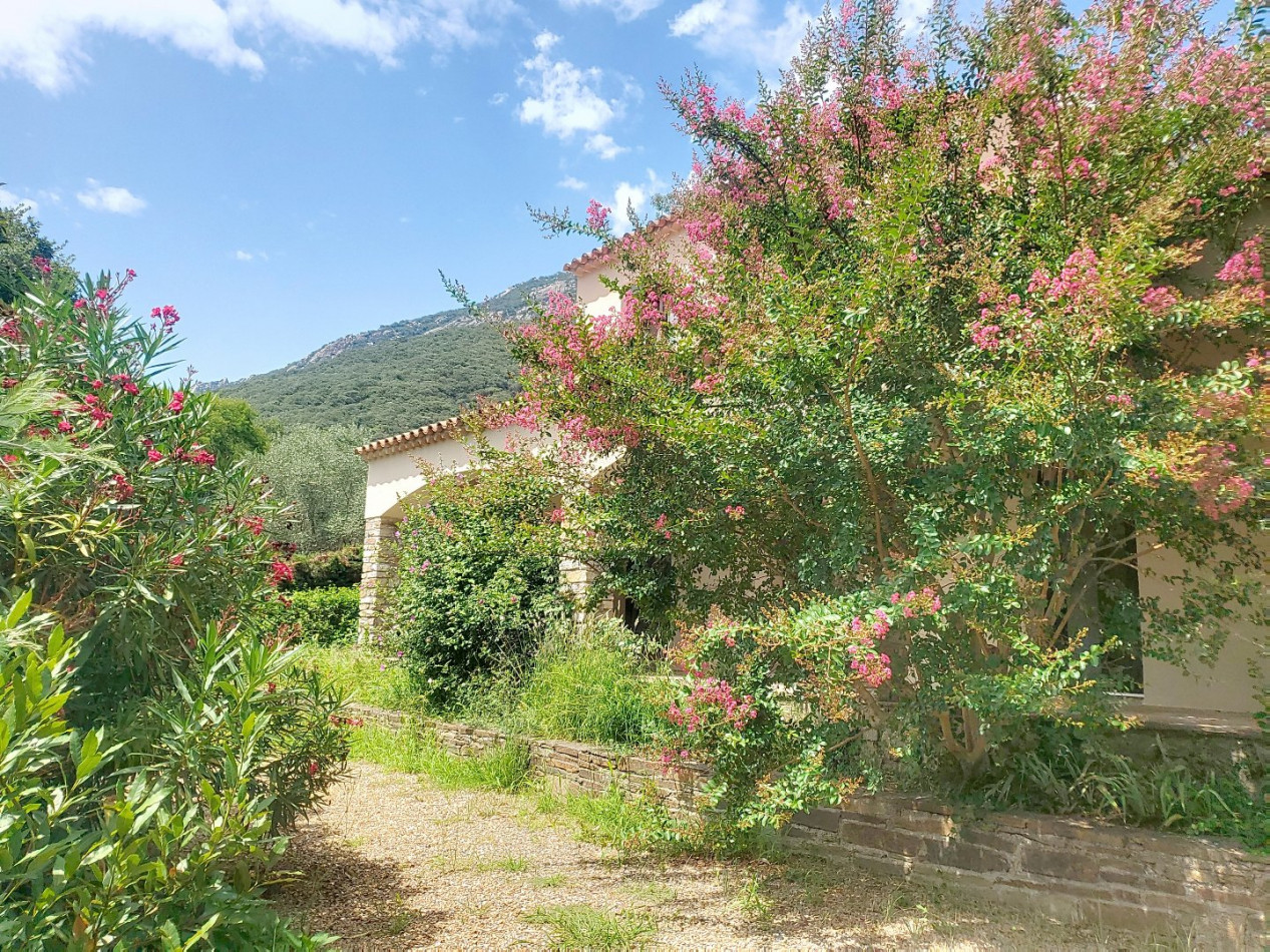 vente Maison Colombieres Sur Orb - Photo 3