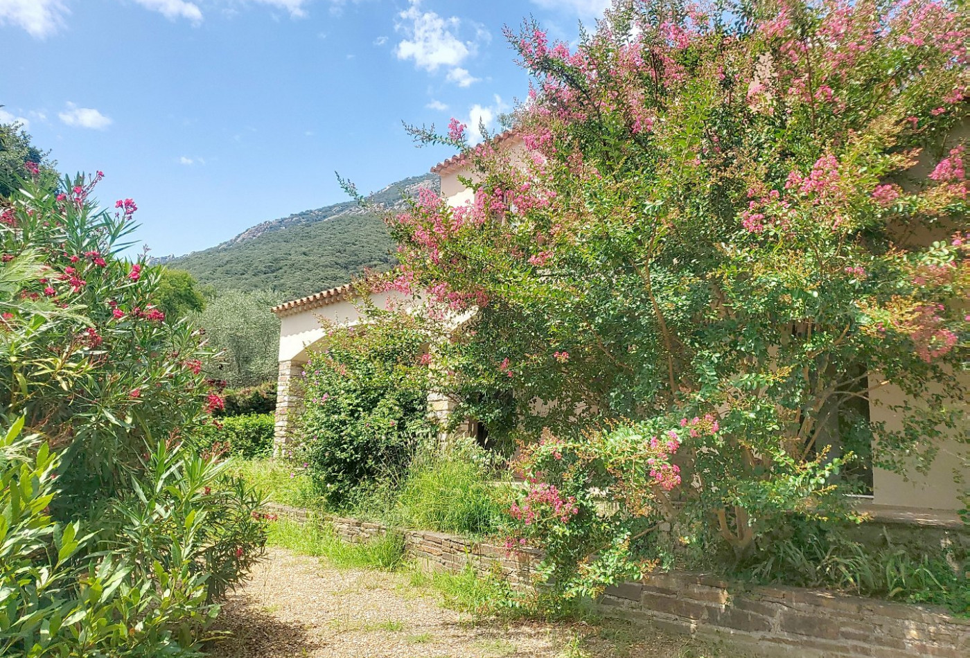 à vendre Maison Colombieres Sur Orb - Photo 3