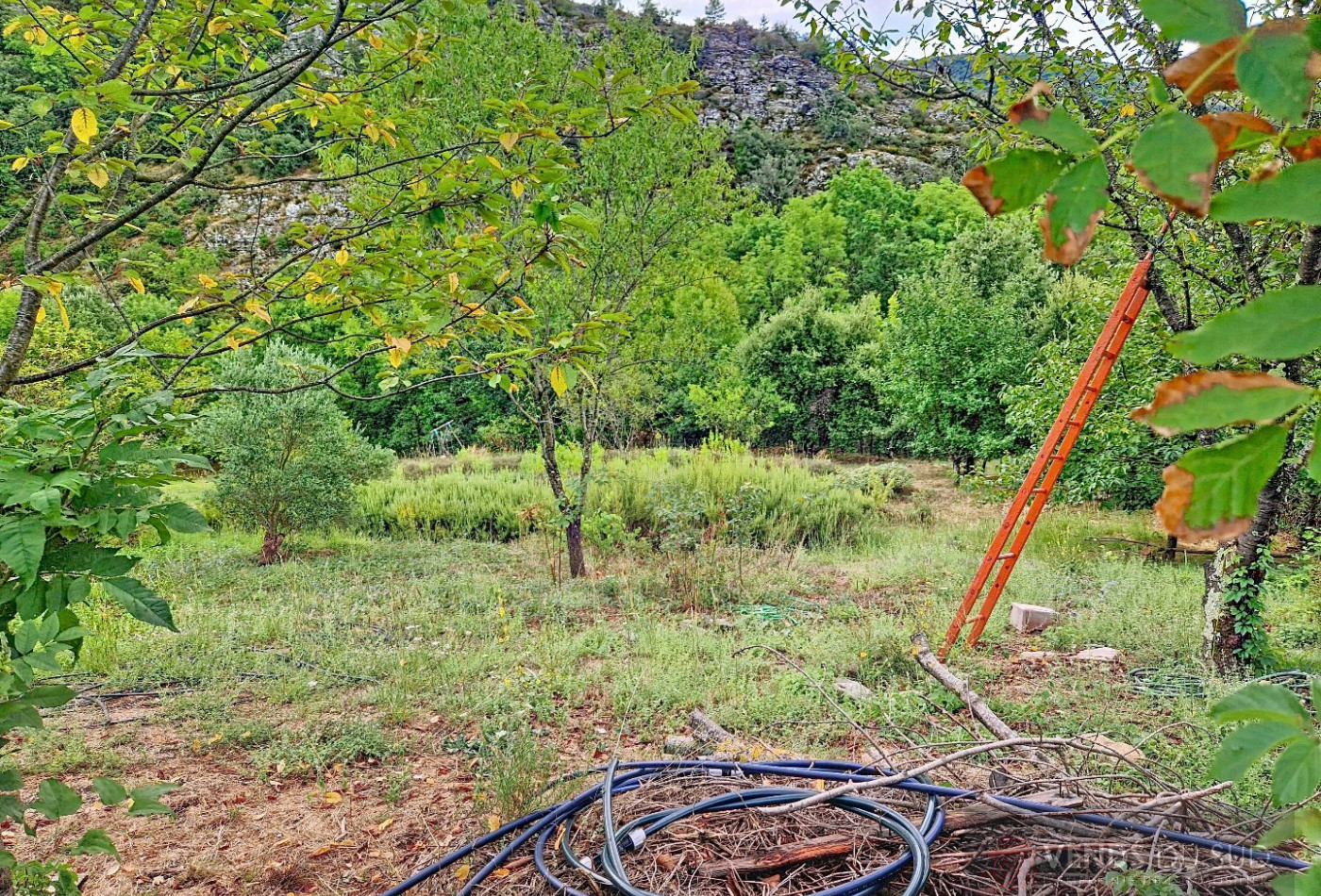 vente Maison de caractère Saint Vincent D'olargues - Photo 13