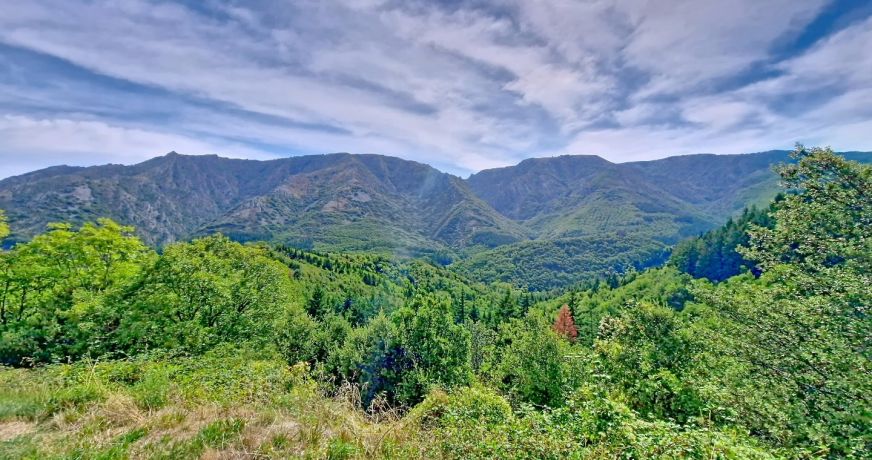 vente Maison de hameau Castanet Le Haut