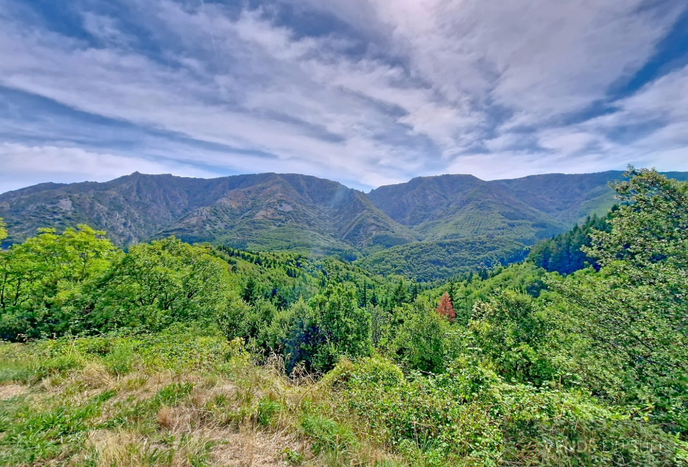 vente Maison de hameau Castanet Le Haut - Photo 18
