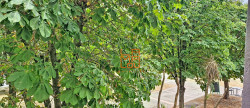 vente Appartement Lamalou Les Bains
