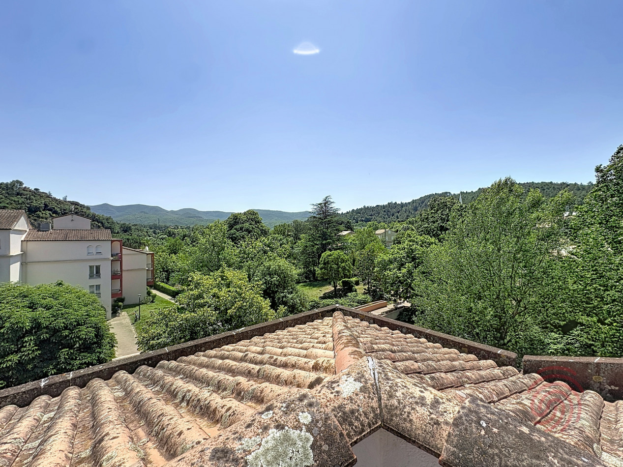 en location saisonnière Appartement Lamalou Les Bains - Photo 10