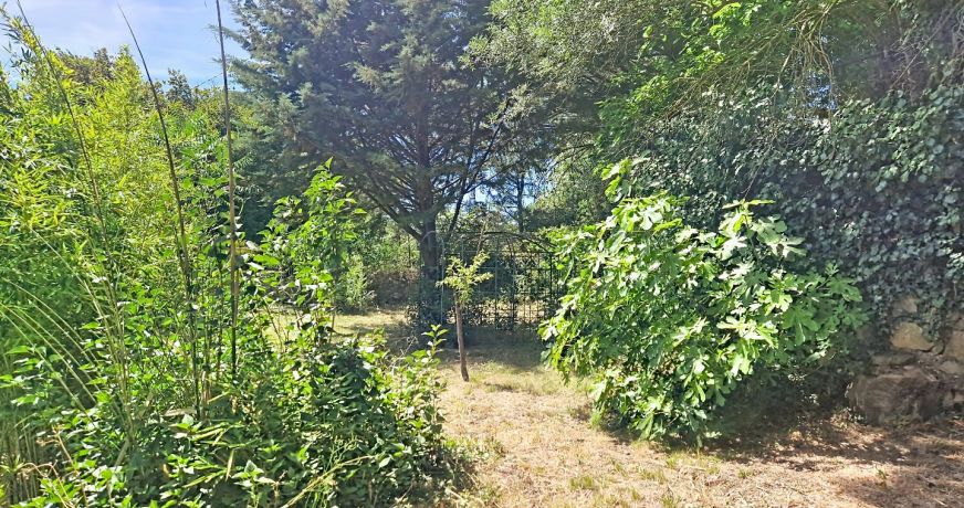 vente Maison individuelle Bedarieux