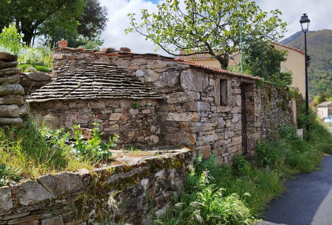 vente Maison Saint Vincent D'olargues - Photo 20