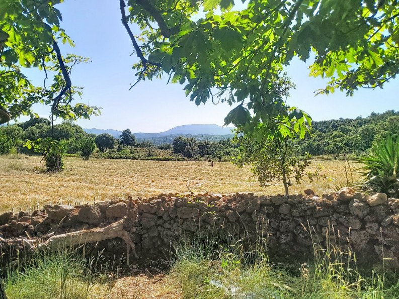 vente Maison Bedarieux - Photo 5