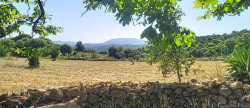 vente Maison Bedarieux