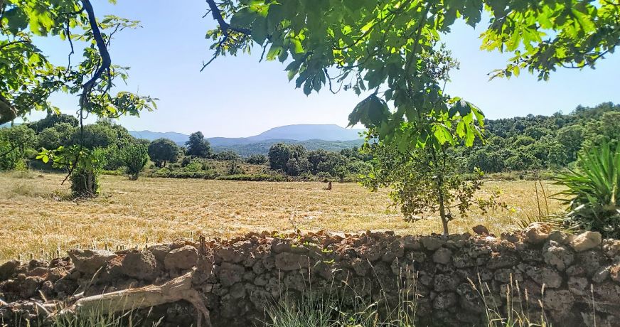 vente Maison Bedarieux