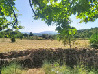 vente Maison Bedarieux