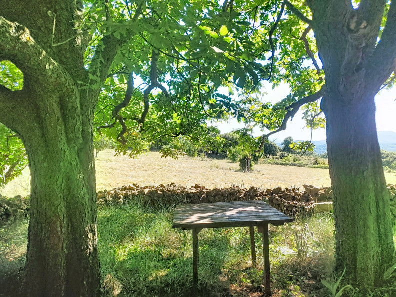 vente Maison Bedarieux - Photo 6