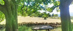 vente Maison Bedarieux
