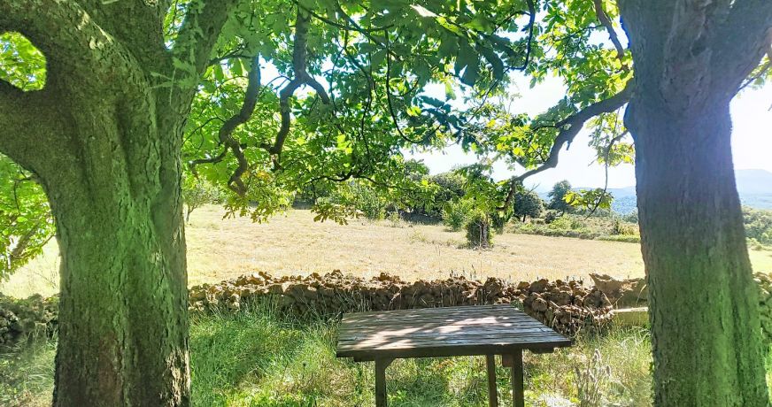 vente Maison Bedarieux