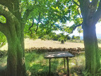 vente Maison Bedarieux