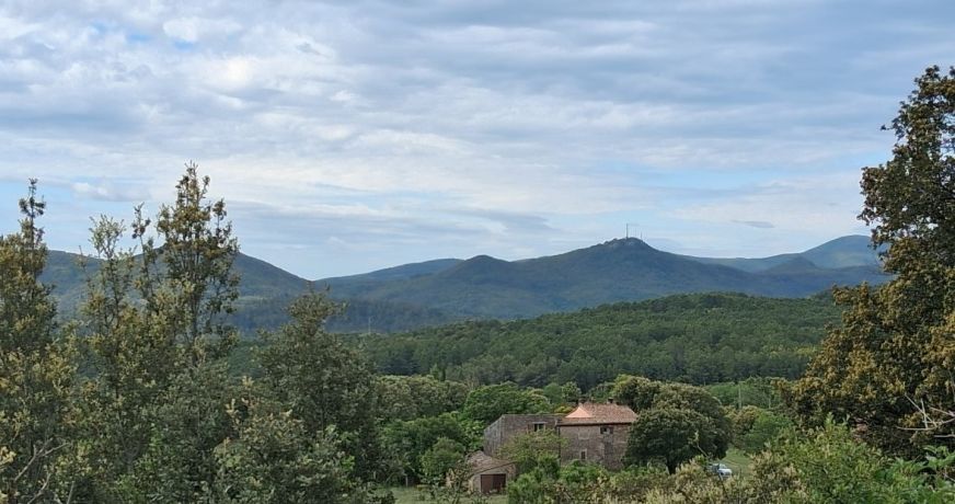 vente Maison Bedarieux