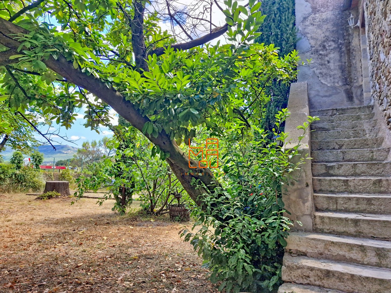 vente Maison de maître La Tour Sur Orb - Photo 3