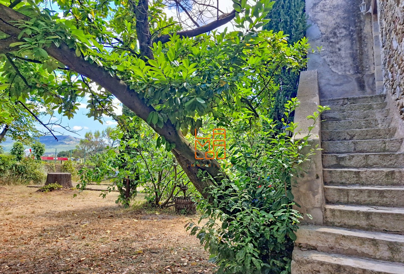 vente Maison de maître La Tour Sur Orb - Photo 3