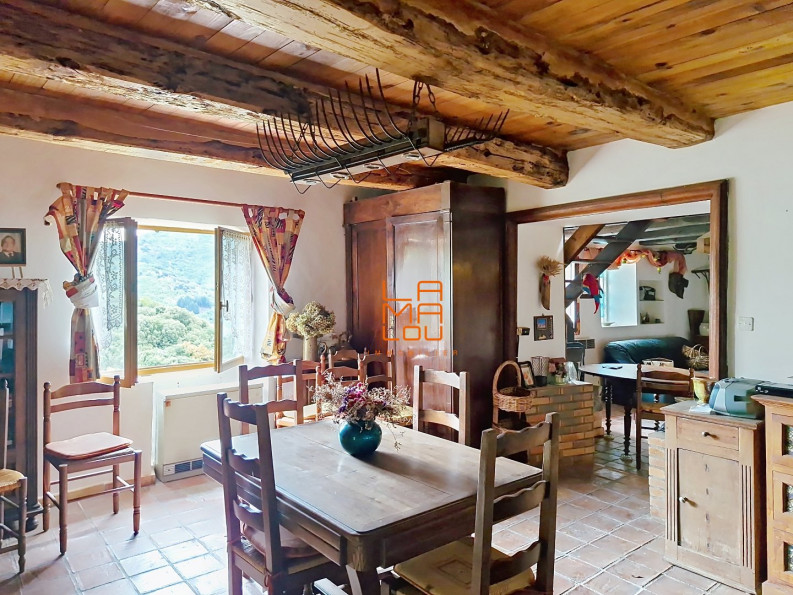 vente Maison Rosis - Photo 9