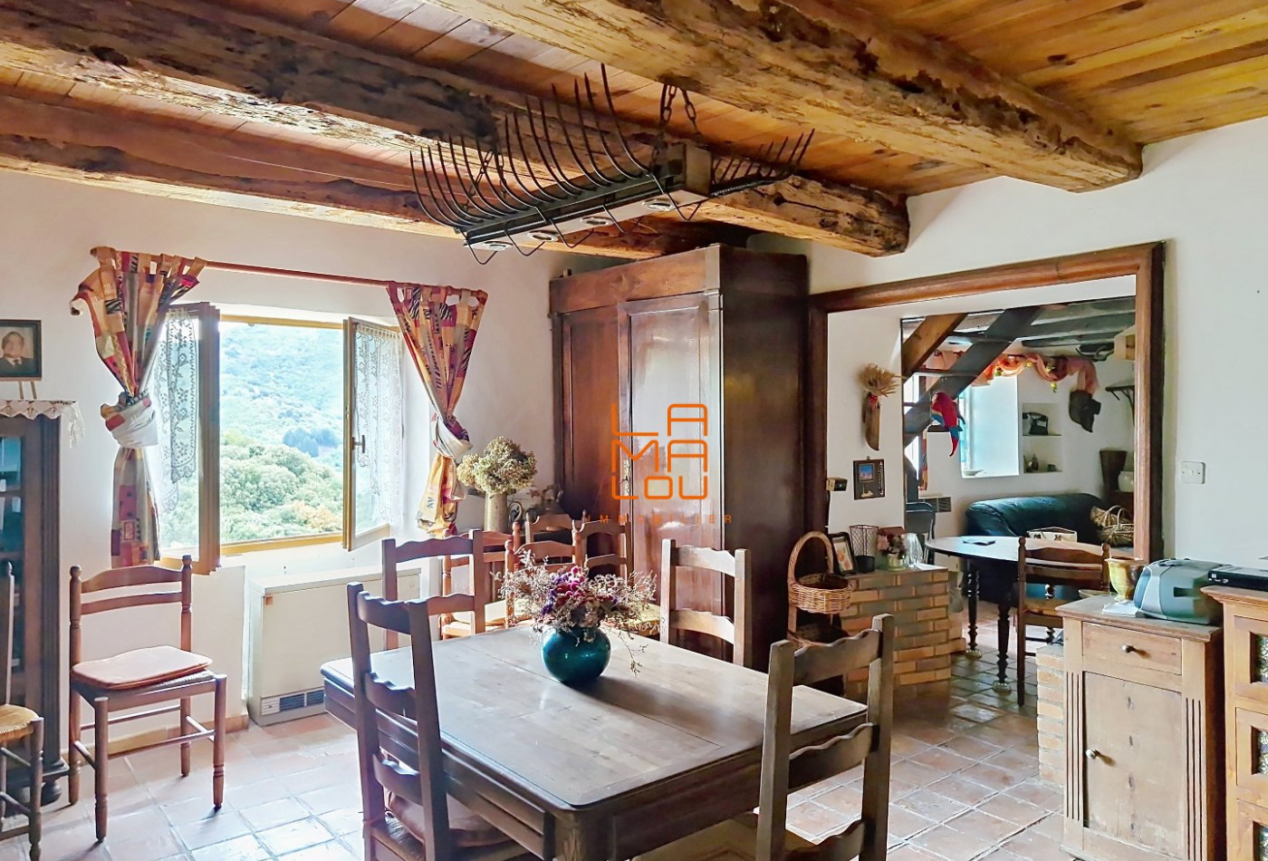 vente Maison Rosis - Photo 9
