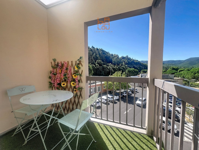 vente Studio Lamalou Les Bains - Photo 8