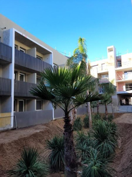 location Appartement Castelnau Le Lez - Photo 7