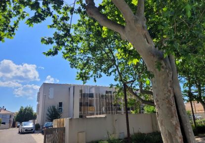 location Appartement Serignan