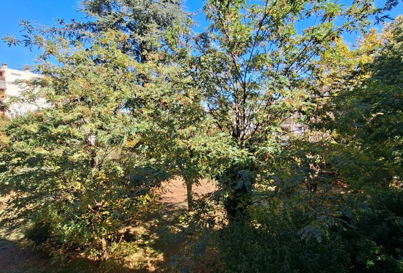 location Appartement Beziers - Photo 4